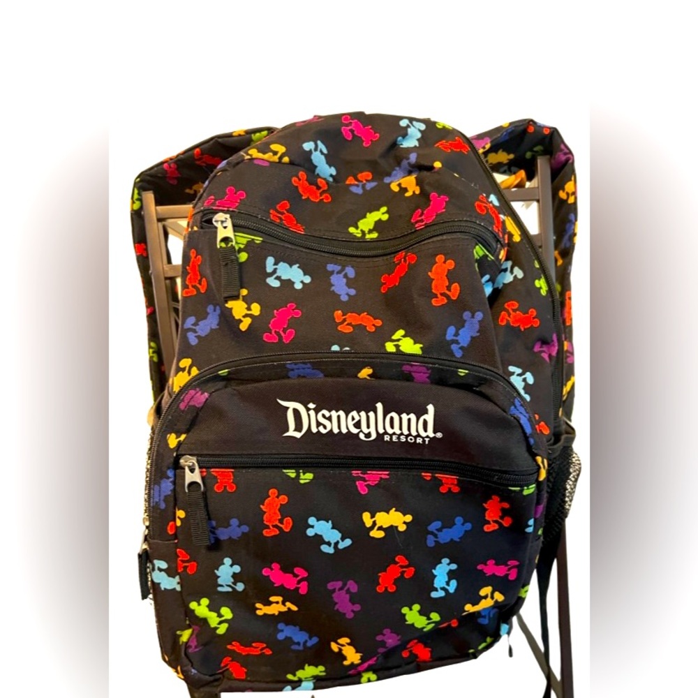 Rare Disneyland Parks backpack